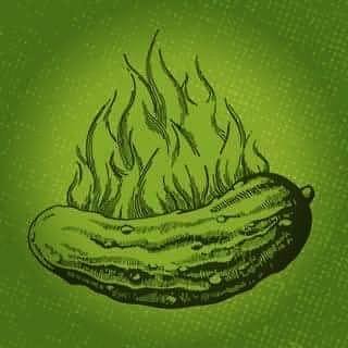 The Toasted Pickle